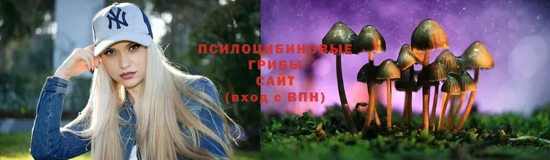 Галлюциногенные грибы Magic Shrooms  Дрезна 