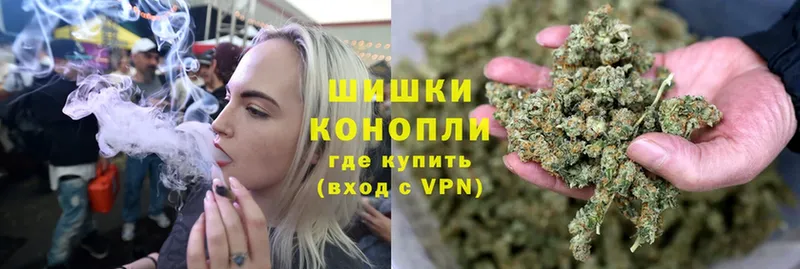 Конопля ГИДРОПОН  купить   Дрезна 